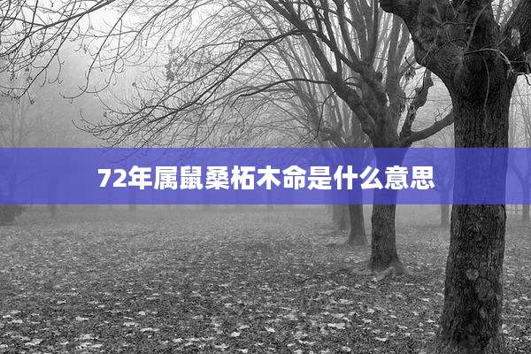 72年属鼠桑柘木命是什么意思