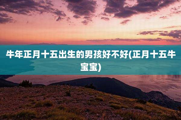 牛年正月十五出生的男孩好不好(正月十五牛宝宝)