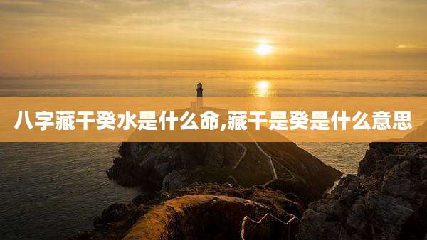 八字藏干癸水是什么命,藏干是癸是什么意思