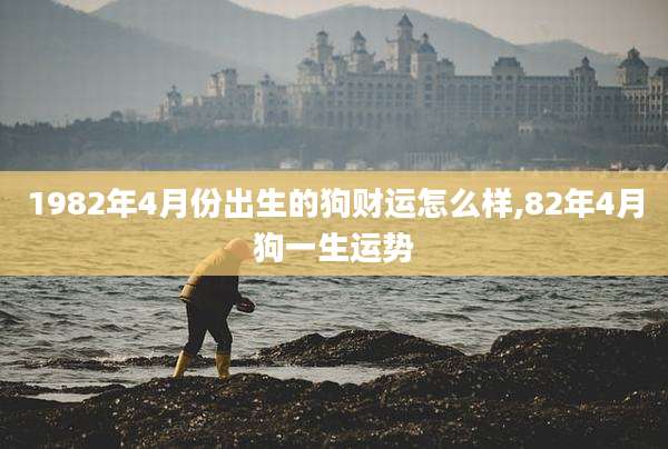 1982年4月份出生的狗财运怎么样,82年4月狗一生运势