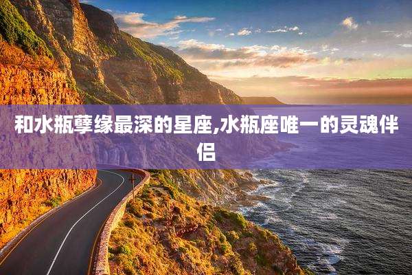 和水瓶孽缘最深的星座,水瓶座唯一的灵魂伴侣