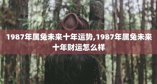 1987年属兔未来十年运势,1987年属兔未来十年财运怎么样