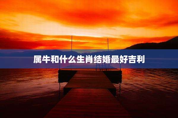 属牛和什么生肖结婚最好吉利