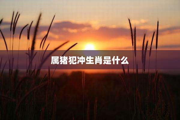 属猪犯冲生肖是什么