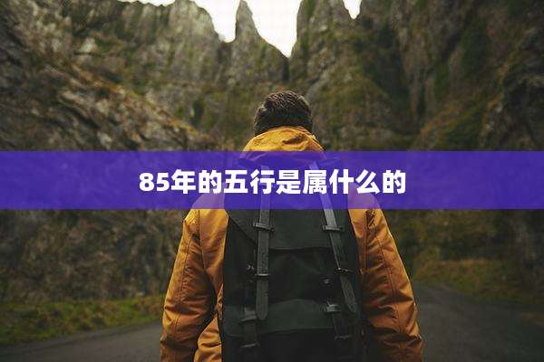85年的五行是属什么的