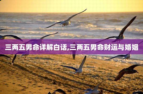 三两五男命详解白话,三两五男命财运与婚姻
