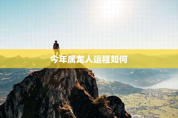 今年属龙人运程如何