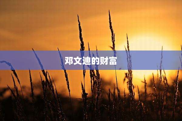 邓文迪的财富
