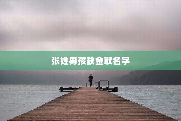张姓男孩缺金取名字