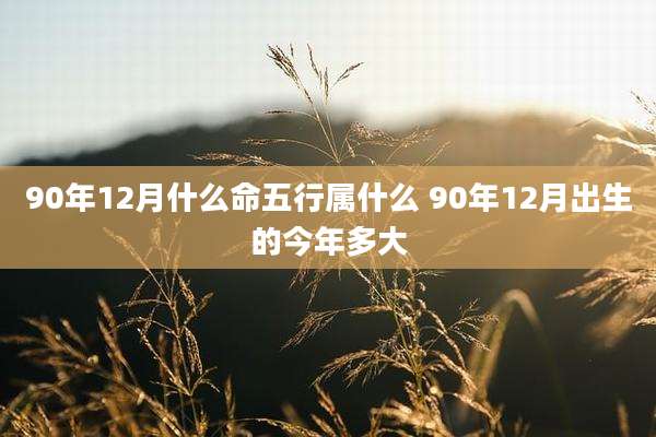 90年12月什么命五行属什么 90年12月出生的今年多大