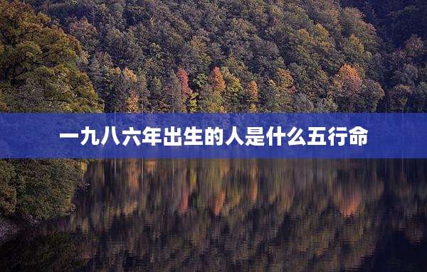 一九八六年出生的人是什么五行命
