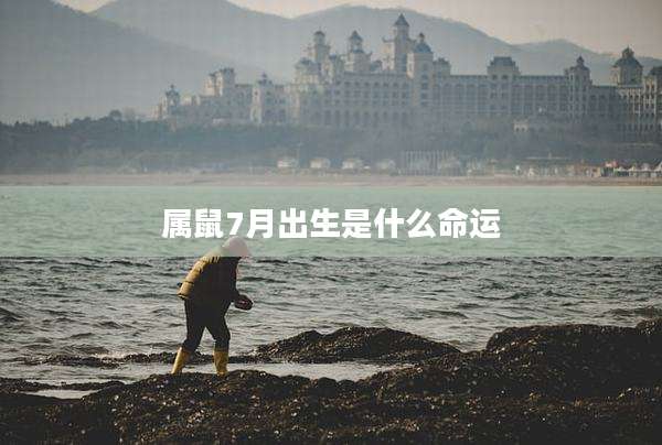 属鼠7月出生是什么命运