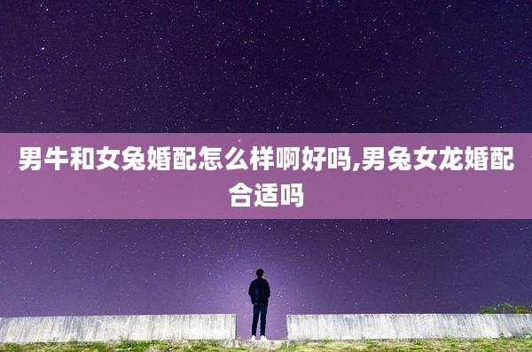 男牛和女兔婚配怎么样啊好吗,男兔女龙婚配合适吗