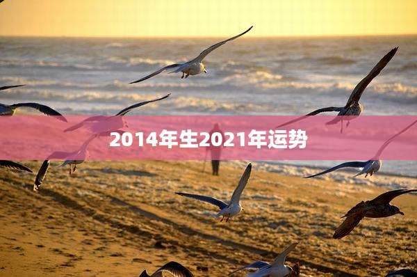 2014年生2021年运势