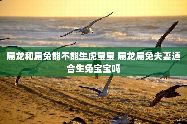属龙和属兔能不能生虎宝宝 属龙属兔夫妻适合生兔宝宝吗