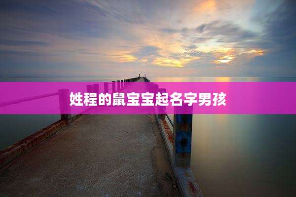 姓程的鼠宝宝起名字男孩