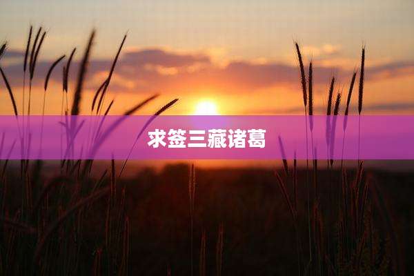 求签三藏诸葛