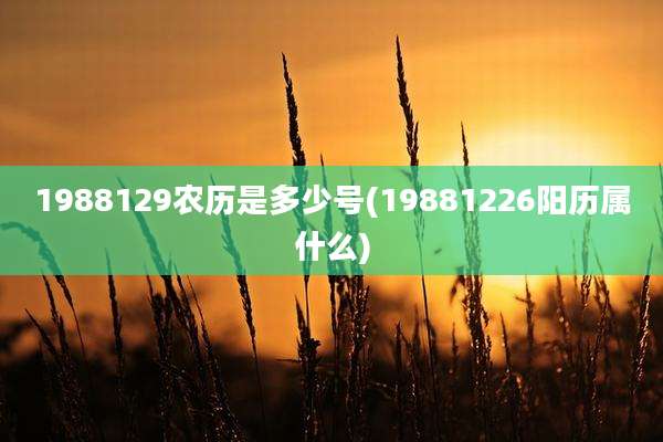 1988129农历是多少号(19881226阳历属什么)
