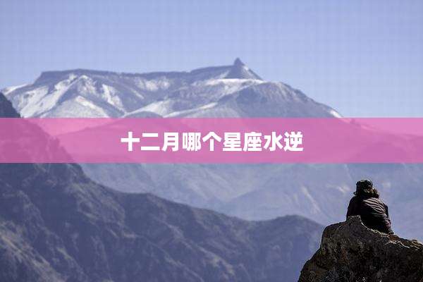 十二月哪个星座水逆