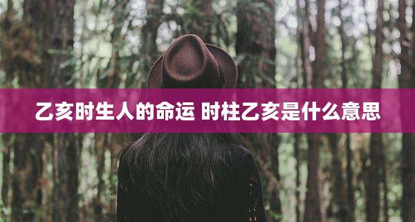 乙亥时生人的命运 时柱乙亥是什么意思