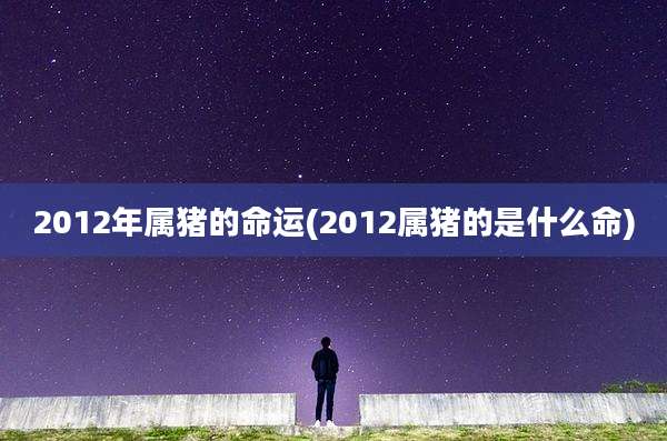 2012年属猪的命运(2012属猪的是什么命)