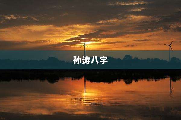 孙涛八字