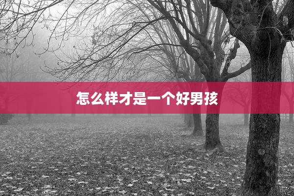 怎么样才是一个好男孩