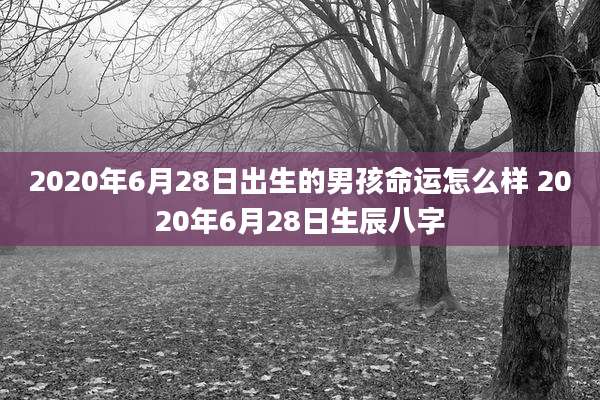 2020年6月28日出生的男孩命运怎么样 2020年6月28日生辰八字