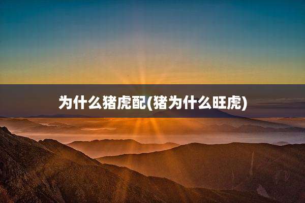 为什么猪虎配(猪为什么旺虎)