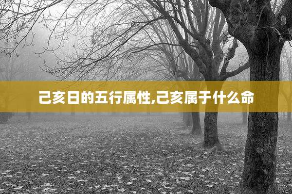 己亥日的五行属性,己亥属于什么命