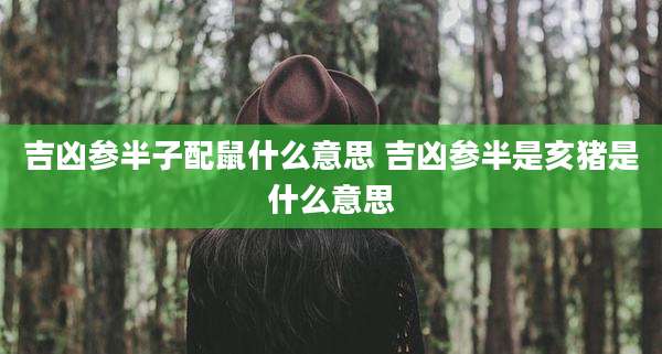 吉凶参半子配鼠什么意思 吉凶参半是亥猪是什么意思