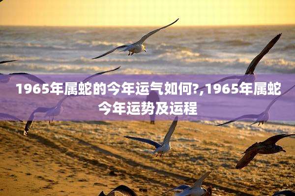 1965年属蛇的今年运气如何?,1965年属蛇今年运势及运程