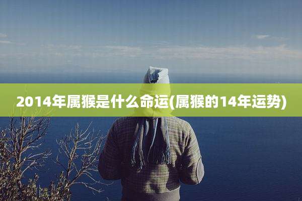 2014年属猴是什么命运(属猴的14年运势)