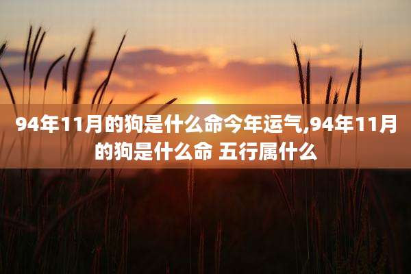 94年11月的狗是什么命今年运气,94年11月的狗是什么命 五行属什么