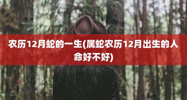 农历12月蛇的一生(属蛇农历12月出生的人命好不好)