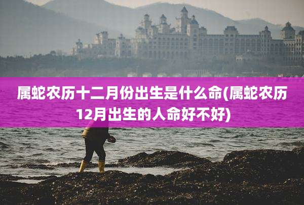 属蛇农历十二月份出生是什么命(属蛇农历12月出生的人命好不好)