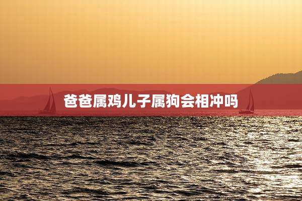 爸爸属鸡儿子属狗会相冲吗