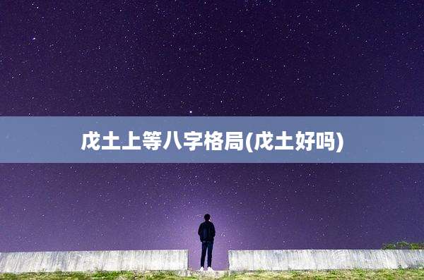 戊土上等八字格局(戊土好吗)