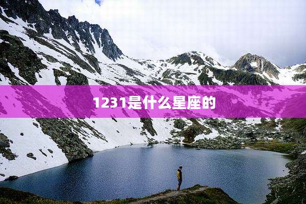 1231是什么星座的