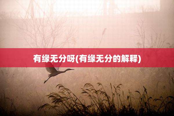 有缘无分呀(有缘无分的解释)