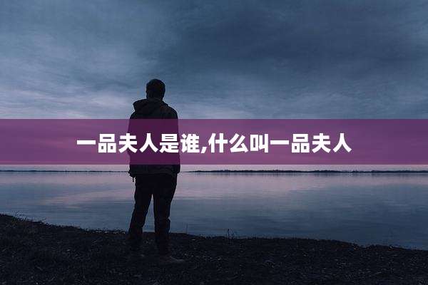 一品夫人是谁,什么叫一品夫人