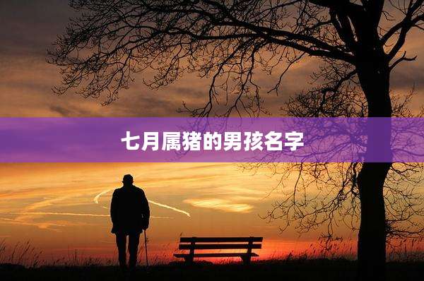 七月属猪的男孩名字