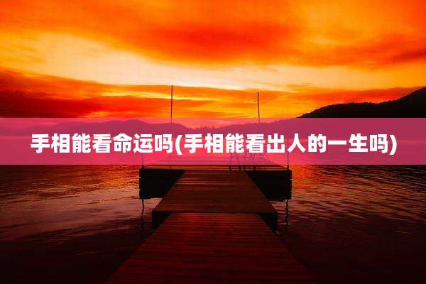 手相能看命运吗(手相能看出人的一生吗)