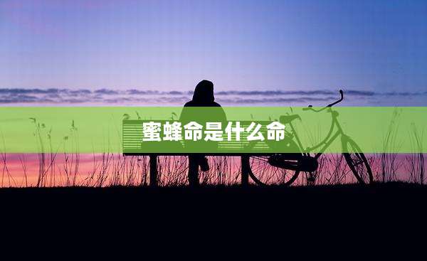 蜜蜂命是什么命