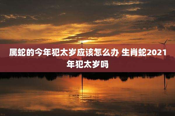 属蛇的今年犯太岁应该怎么办 生肖蛇2021年犯太岁吗