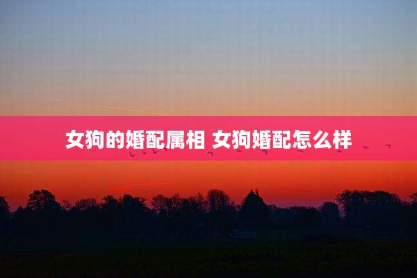 女狗的婚配属相 女狗婚配怎么样