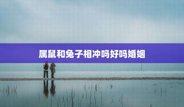 属鼠和兔子相冲吗好吗婚姻