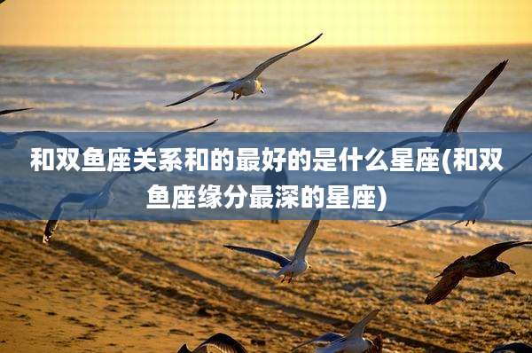 和双鱼座关系和的最好的是什么星座(和双鱼座缘分最深的星座)