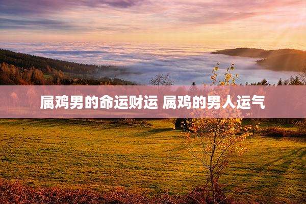 属鸡男的命运财运 属鸡的男人运气