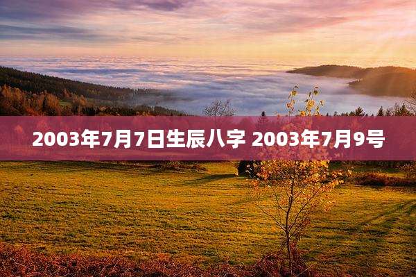 2003年7月7日生辰八字 2003年7月9号